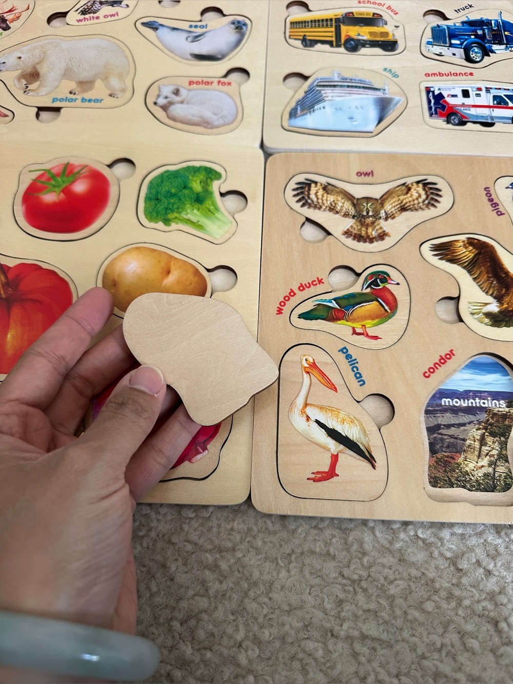 Wooden Toddler Puzzle Set – Animals, Fruits, Vehicles & More | Montessori Learni - Picture 8 of 10